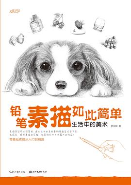 鉛筆素描如此簡單——生活中的美術 鉛筆素描如此簡單——生活中的美術