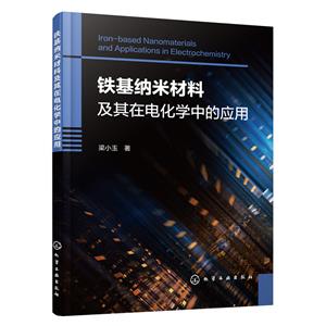 鐵基納米材料及其在電化學中的應用 鐵基納米材料及其在電化學中的應用