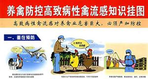 養(yǎng)禽防控高致病性禽流感知識(shí)掛圖 養(yǎng)禽防控高致病性禽流感知識(shí)掛圖