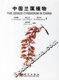 中國蘭屬植物 中國蘭屬植物