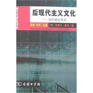 后現(xiàn)代主義文化當(dāng)代理論導(dǎo)引 后現(xiàn)代主義文化當(dāng)代理論導(dǎo)引