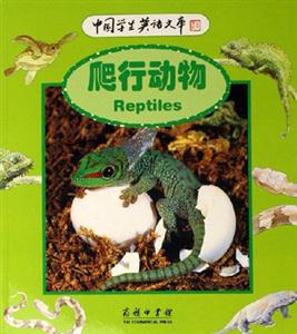 爬行動物 爬行動物