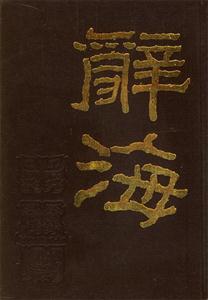 《辭海》讀后感300字：辭海無涯，知識之旅的啟航，探索智慧深淵的奇妙之旅！