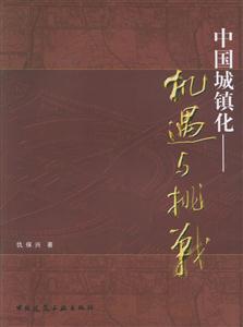 中國城鎮化機遇與挑戰 中國城鎮化機遇與挑戰