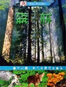 森林視覺奇觀 森林視覺奇觀