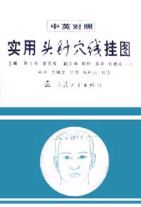實用頭針穴位掛圖