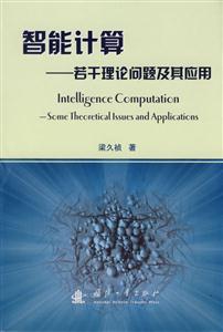 智能計算――若干理論問題及其應用 智能計算――若干理論問題及其應用
