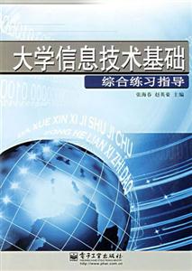大學信息技術基礎綜合練習指導 大學信息技術基礎綜合練習指導