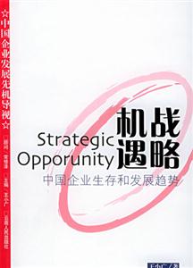《戰(zhàn)略機遇》讀后感：揭秘時代的轉折點，一場智慧與決策的懸疑之旅！