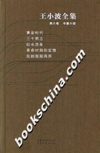 王小波全集第六卷中篇小說 王小波全集第六卷中篇小說