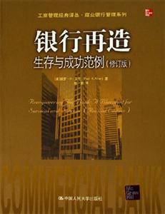 銀行再造――生存與成功范例 銀行再造――生存與成功范例