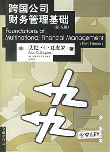 跨國公司財務管理基礎 跨國公司財務管理基礎