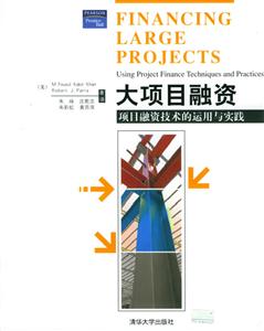大項目融資 大項目融資
