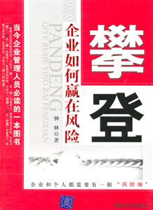 《攀登企業如何贏在風險》讀后感400字：揭秘企業攀登風險之巔的智慧，數字化時代，你準備好迎接挑戰了嗎？
