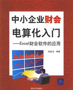 中小企業財會電算化入門:Excel財會軟件的應用 中小企業財會電算化入門:Excel財會軟件的應用