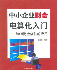中小企業(yè)財(cái)會電算化入門Excel財(cái)會軟件的應(yīng)用:Excel財(cái)會軟件的應(yīng)用 中小企業(yè)財(cái)會電算化入門Excel財(cái)會軟件的應(yīng)用:Excel財(cái)會軟件的應(yīng)用