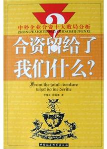 合資留給了我們什么? 合資留給了我們什么?