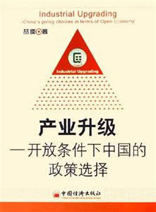 產(chǎn)業(yè)升級開放條件下中國的政策選擇 產(chǎn)業(yè)升級開放條件下中國的政策選擇