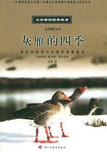 灰雁的四季 灰雁的四季