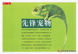 先鋒寵物 先鋒寵物