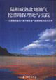陸相成熟盆地油氣挖潛勘探理論與實踐以渤海灣盆地八面河探區油氣成藏研究與應用為例 陸相成熟盆地油氣挖潛勘探理論與實踐以渤海灣盆地八面河探區油氣成藏研究與應用為例