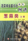蔬菜病蟲(chóng)害診治原色圖譜蔥蒜類(lèi)分冊(cè) 蔬菜病蟲(chóng)害診治原色圖譜蔥蒜類(lèi)分冊(cè)