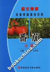 番茄分冊圖文精解設施果蔬栽培經驗 番茄分冊圖文精解設施果蔬栽培經驗