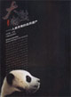 大貓熊人類共有的自然遺產(chǎn) 大貓熊人類共有的自然遺產(chǎn)