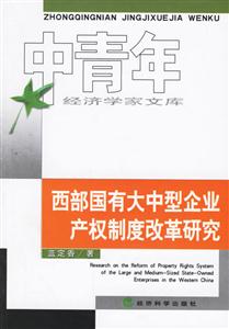 西部國有大中型企業(yè)產權制度改革研究 西部國有大中型企業(yè)產權制度改革研究