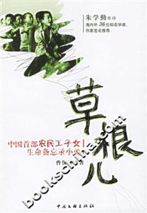 《草根兒中國首部農民工子女生命備忘錄小說》讀后感800字：草根人生，情感與挑戰(zhàn)交織的備忘錄！