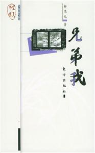 《兄弟我空靈書系》讀后感300字：兄弟情深，空靈之旅，揭秘人物情感與生活挑戰的交織篇章！