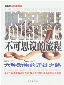 不可思議的旅程 不可思議的旅程