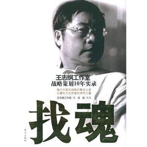 找魂王志剛工作室戰略策劃10年實錄 找魂王志剛工作室戰略策劃10年實錄