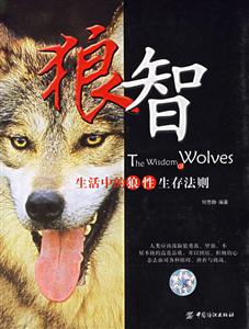 《狼智》讀后感300字：揭秘狼的智慧與生存法則，人物角色的情感沖突與生活挑戰并存！