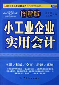 小工業(yè)企業(yè)實(shí)用會(huì)計(jì) 小工業(yè)企業(yè)實(shí)用會(huì)計(jì)