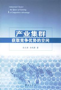 產業集群獲取競爭優勢的空間 產業集群獲取競爭優勢的空間