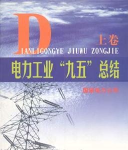 電力工業“九五”總結 電力工業“九五”總結