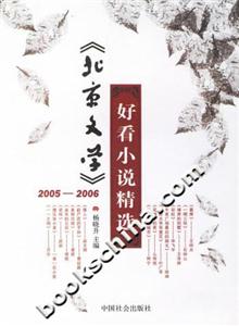 《北京文學》20052006好看小說精選 《北京文學》20052006好看小說精選