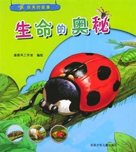 由來的故事生命的奧秘 由來的故事生命的奧秘