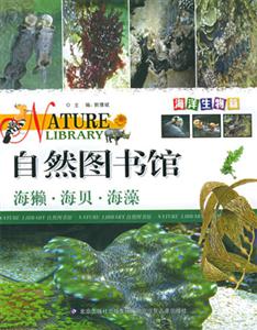 自然圖書(shū)館海獺海貝海藻 自然圖書(shū)館海獺海貝海藻