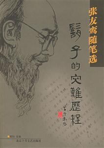 胡子的災難歷程 胡子的災難歷程