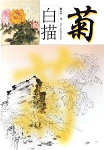 菊白描 菊白描
