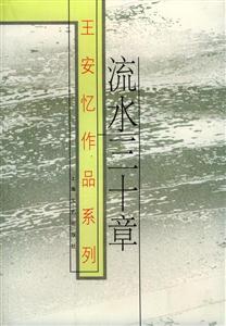 王安憶作品系列流水三十章 王安憶作品系列流水三十章