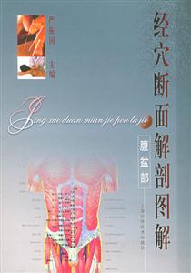 經穴斷面解剖圖解腹盆部 經穴斷面解剖圖解腹盆部