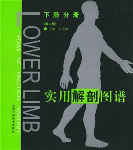 實用解剖圖譜下肢分冊 實用解剖圖譜下肢分冊