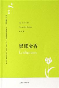 黑郁金香048 黑郁金香048