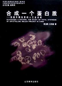 合成一個(gè)蛋白質(zhì) 合成一個(gè)蛋白質(zhì)