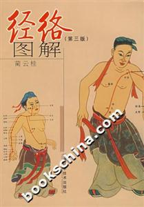 經絡圖解 經絡圖解