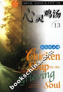 心靈雞湯哀傷的靈魂英文原版 心靈雞湯哀傷的靈魂英文原版