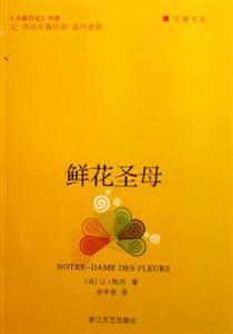 鮮花圣母巨擘書庫 鮮花圣母巨擘書庫